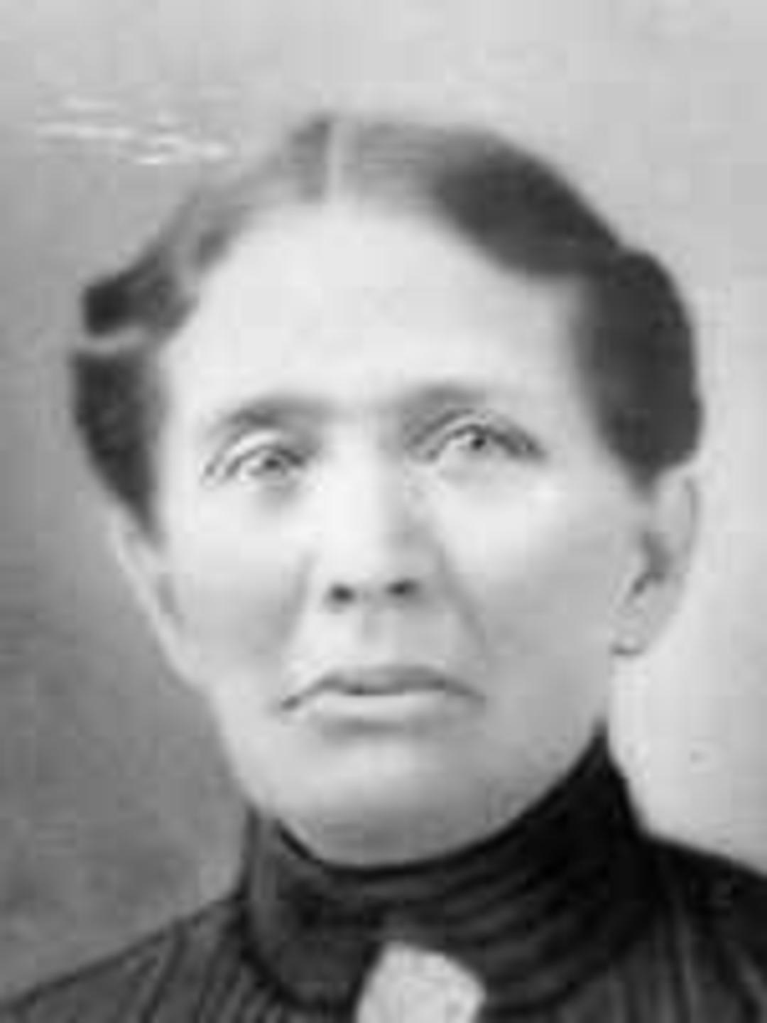 Eliza Theodocia Noble (1847 - 1927) Profile